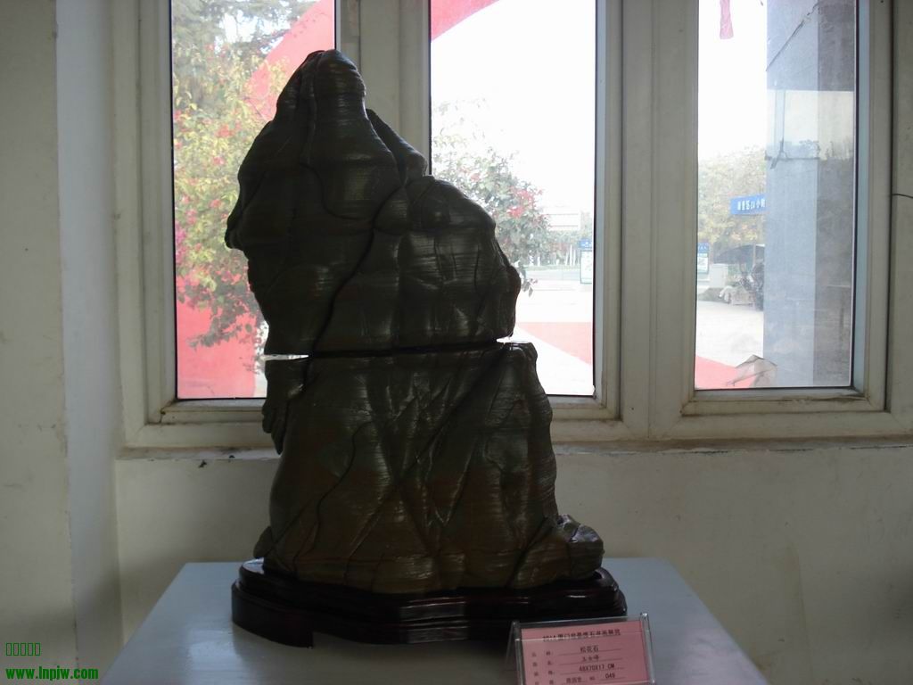 С DSC01685.JPG
