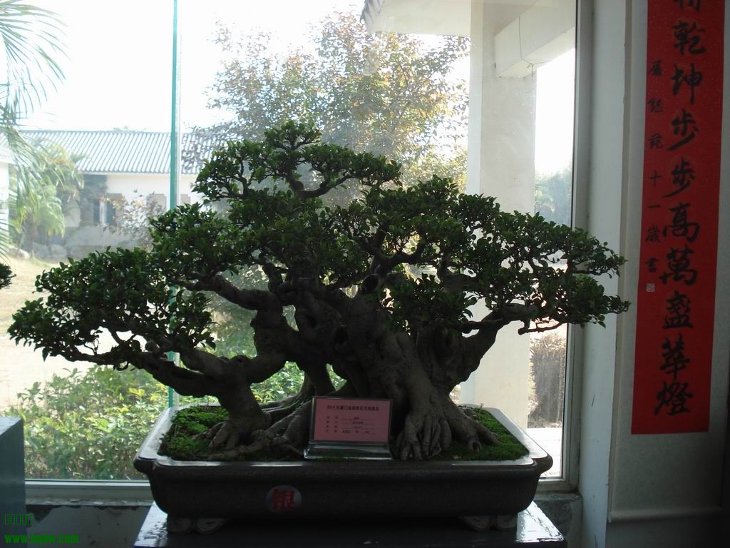 С DSC01691.JPG