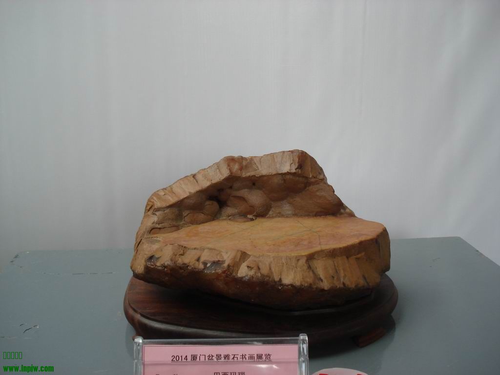 С DSC01692.JPG