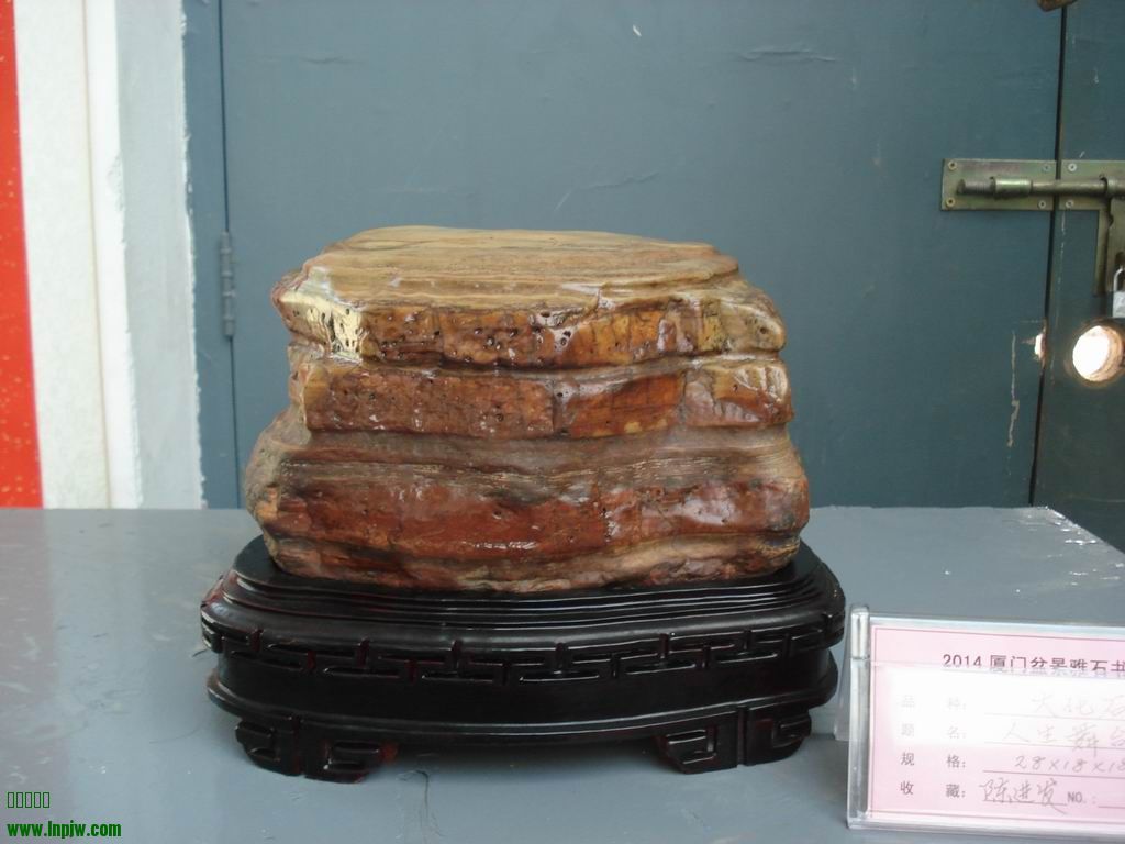 С DSC01694.JPG