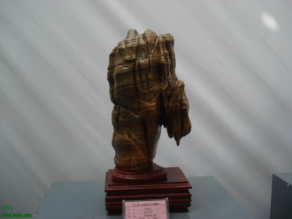 С DSC01696.JPG
