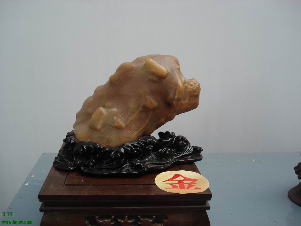С DSC01699.JPG