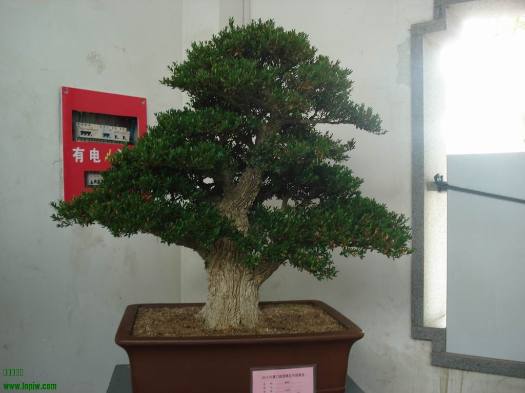 С DSC01702.JPG