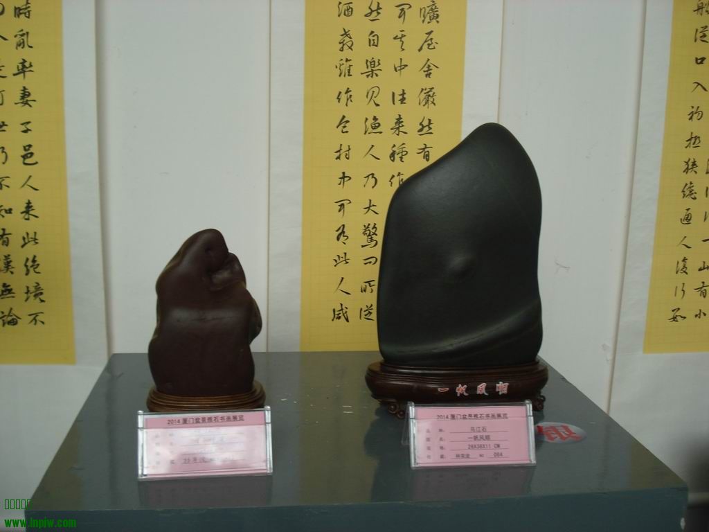С DSC01706.JPG