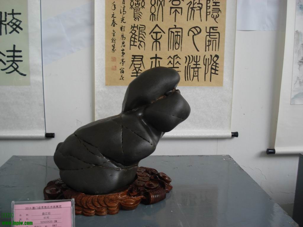С DSC01707.JPG