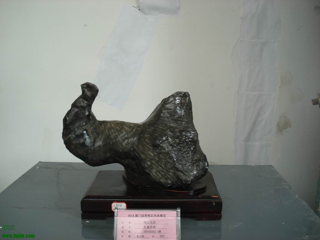 С DSC01709.JPG