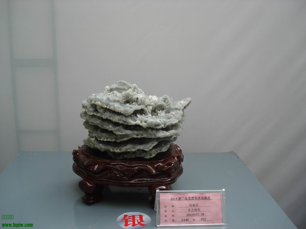 С DSC01713.JPG