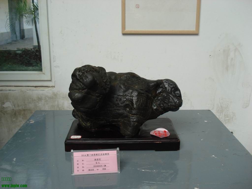 С DSC01714.JPG