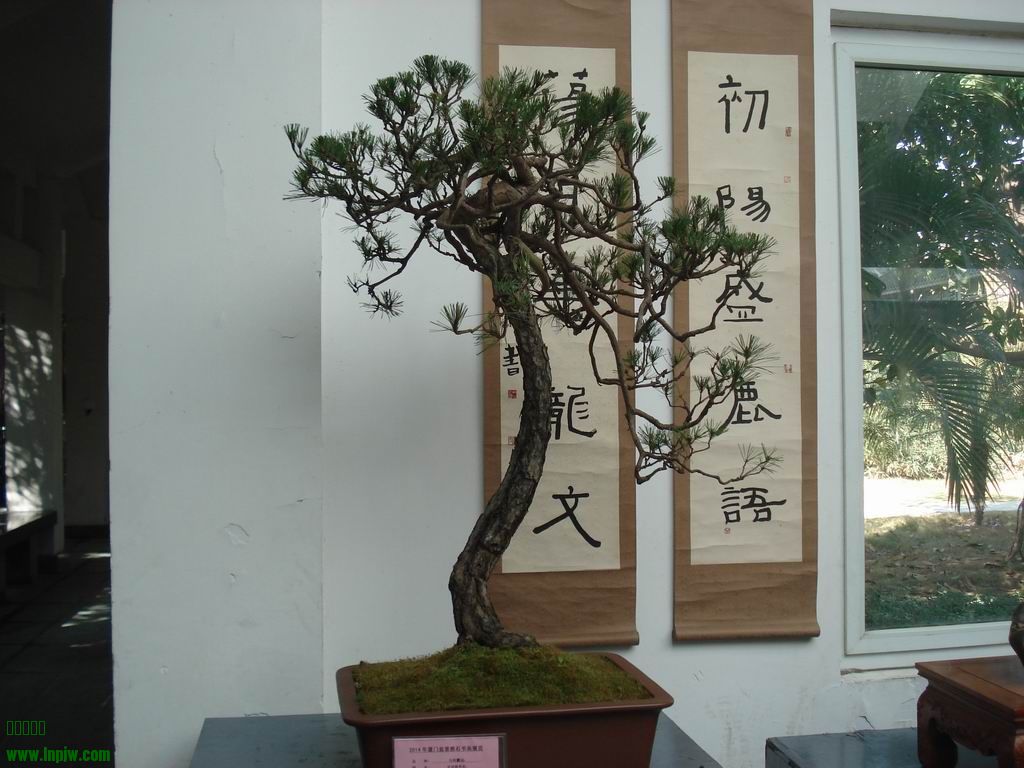 С DSC01718.JPG