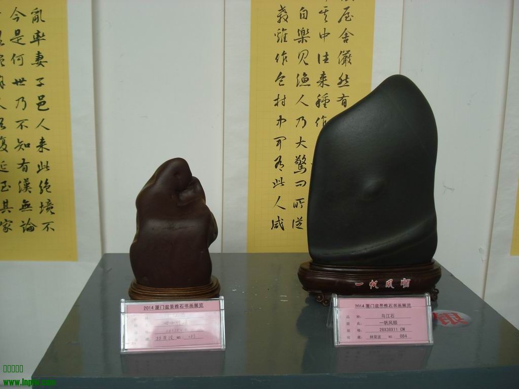 С DSC01720.JPG