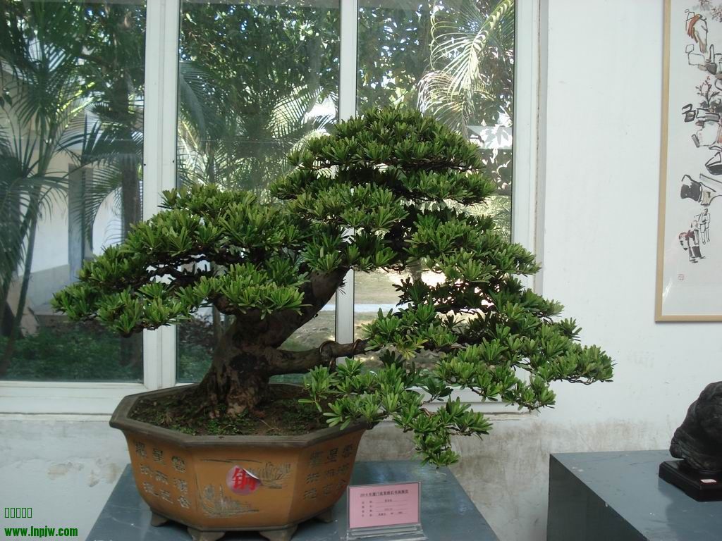 С DSC01721.JPG