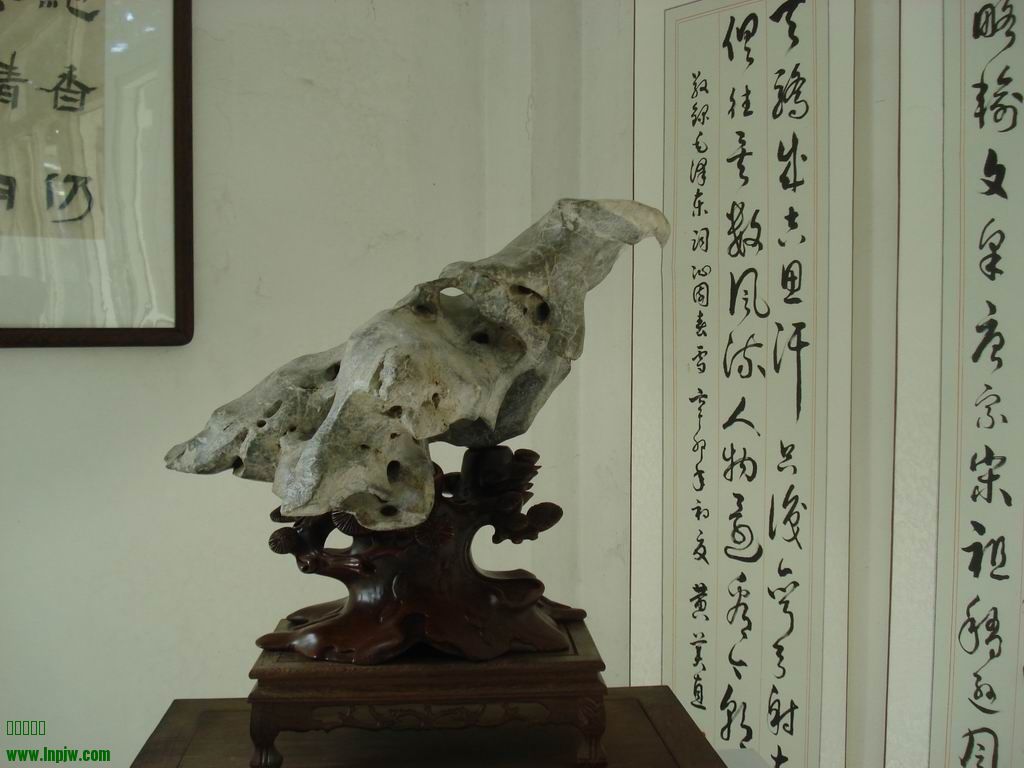 С DSC01725.JPG