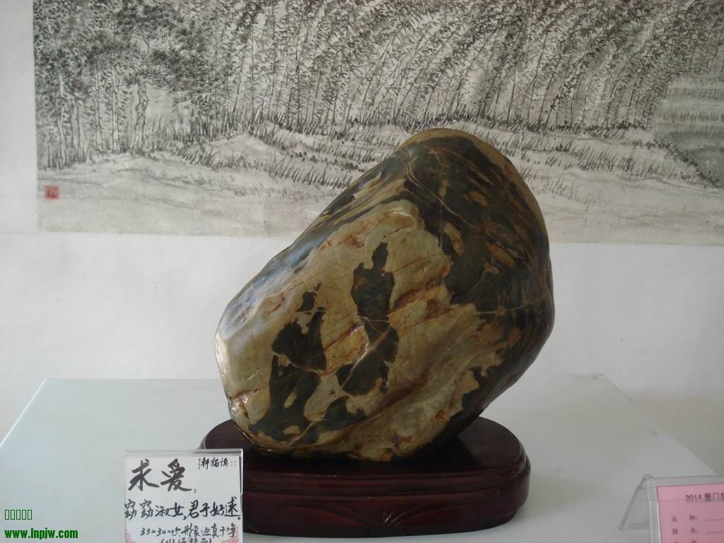 С DSC01726.JPG