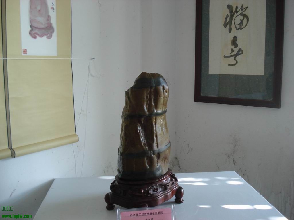 С DSC01737.JPG