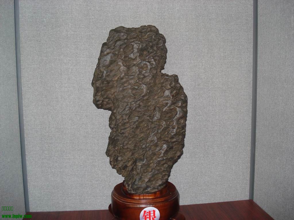С DSC01744.JPG