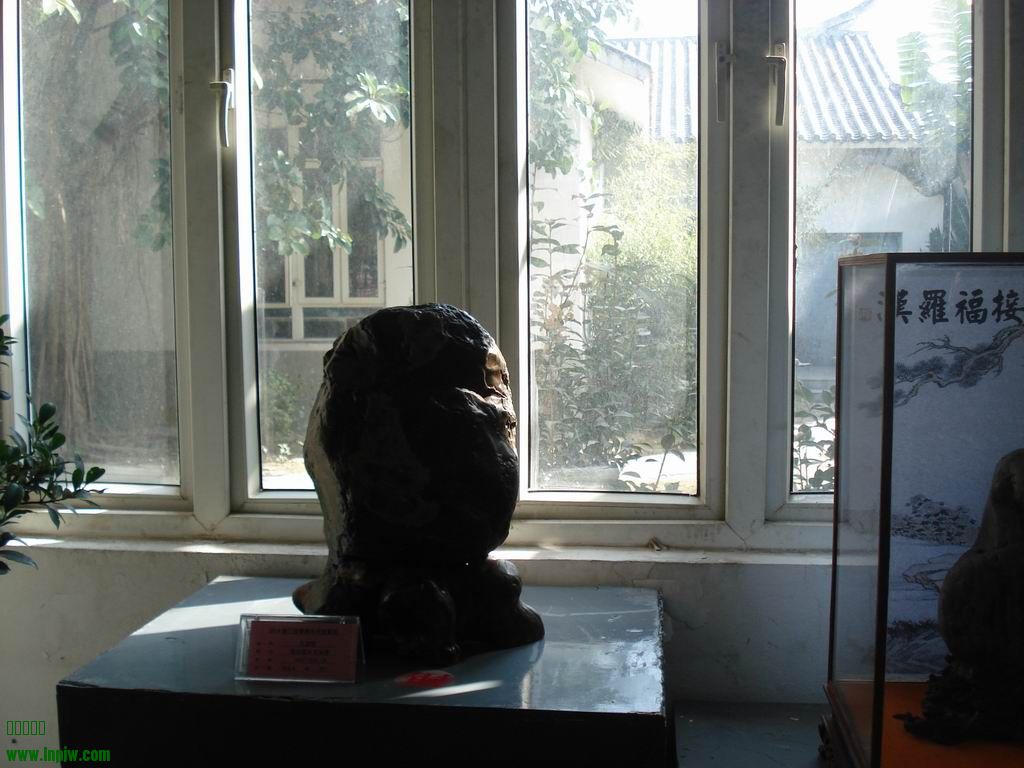 С DSC01753.JPG