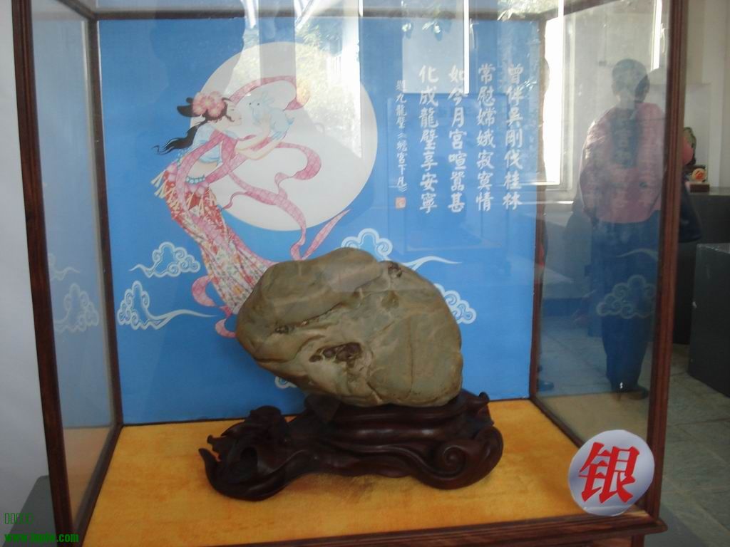 С DSC01756.JPG