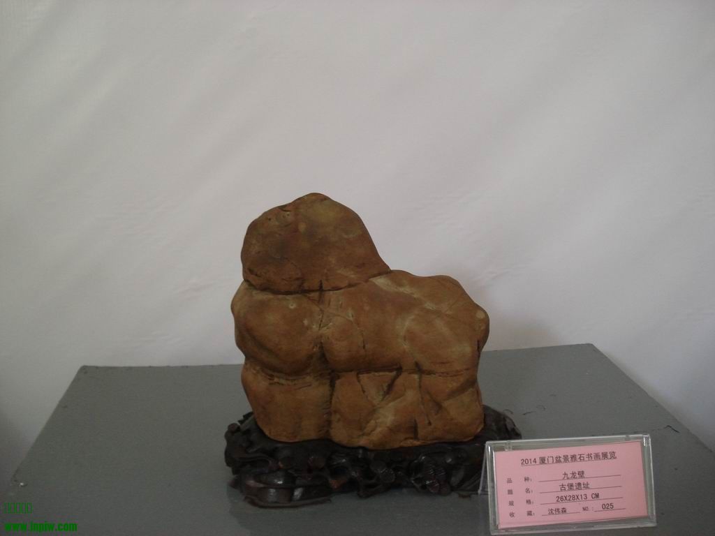 С DSC01760.JPG