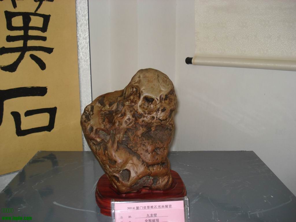 С DSC01766.JPG
