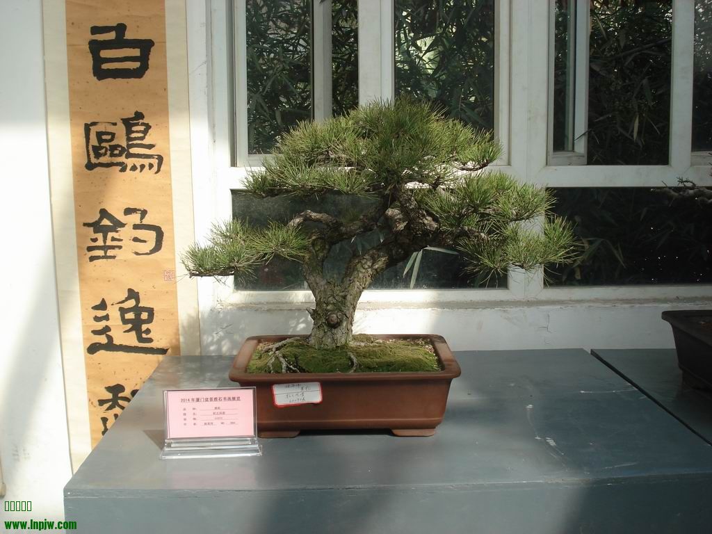 С DSC01788.JPG