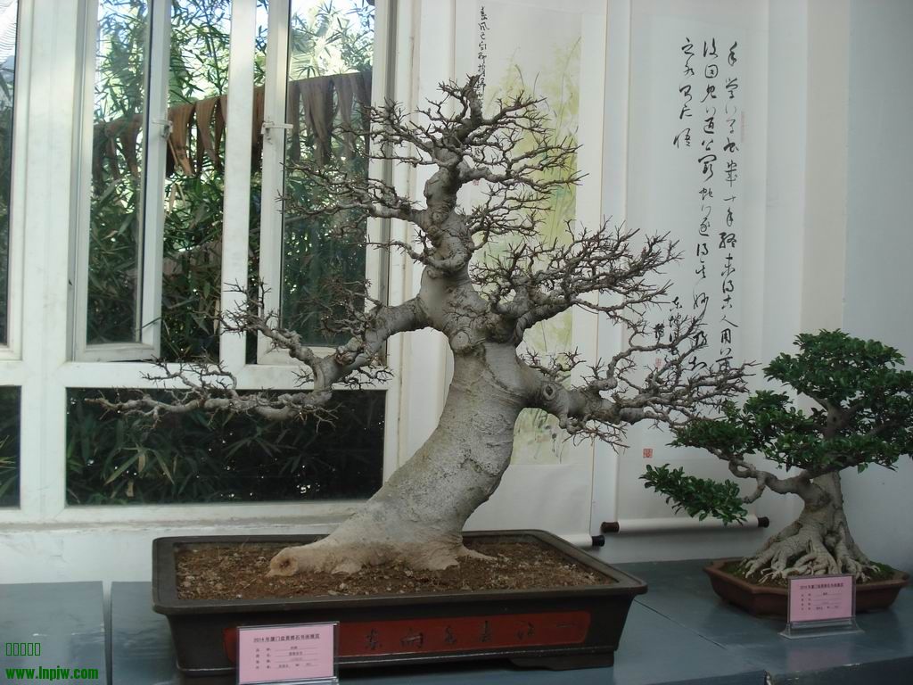 С DSC01789.JPG