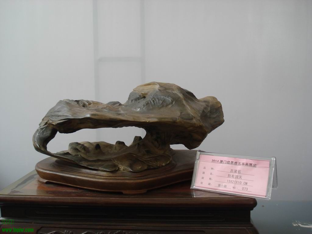 С DSC01790.JPG