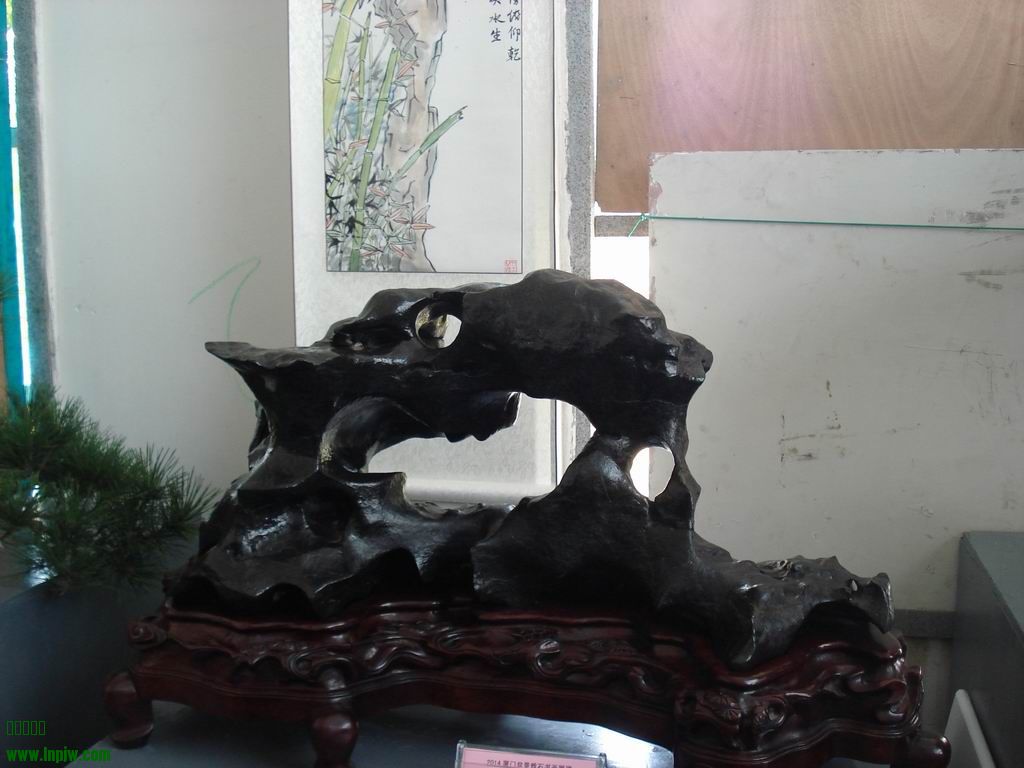 С DSC01791.JPG