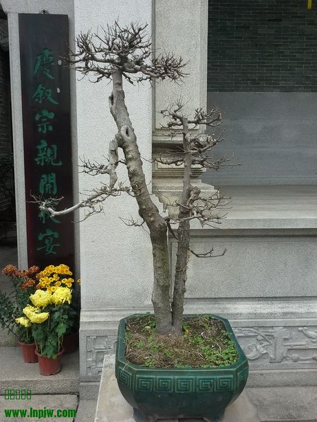 20140205_121647_С.jpg