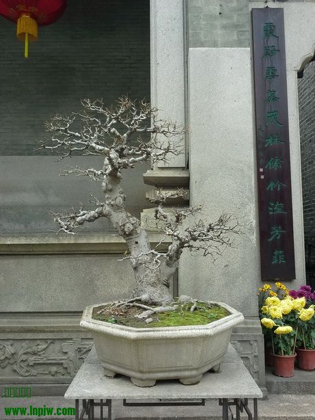 20140205_121829_С.jpg