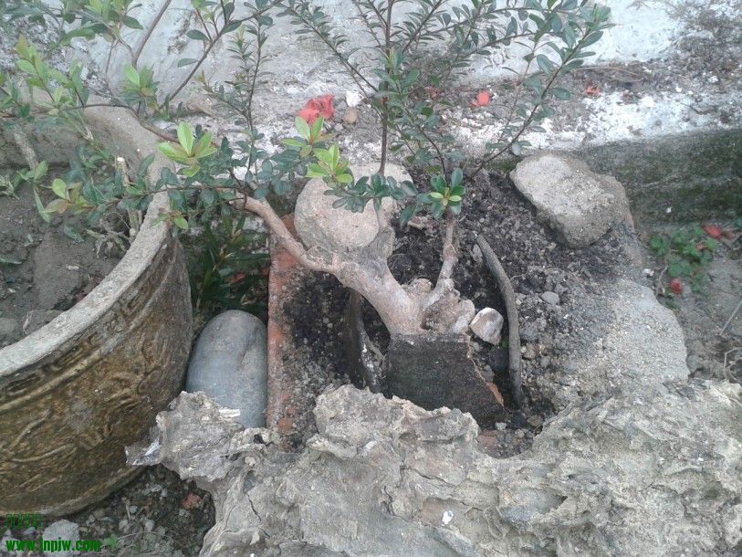 QQͼƬ20140208000647.jpg