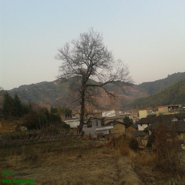 QQͼƬ20140208000624.jpg