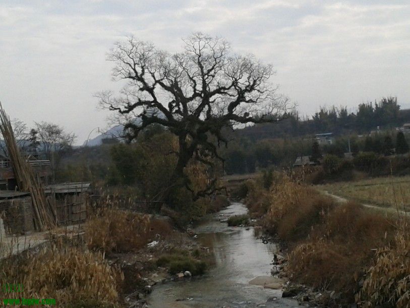 QQͼƬ20140208000540.jpg