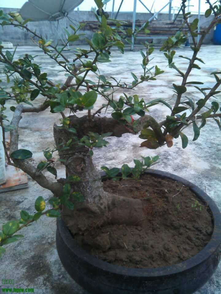 QQͼƬ20140208221333.jpg