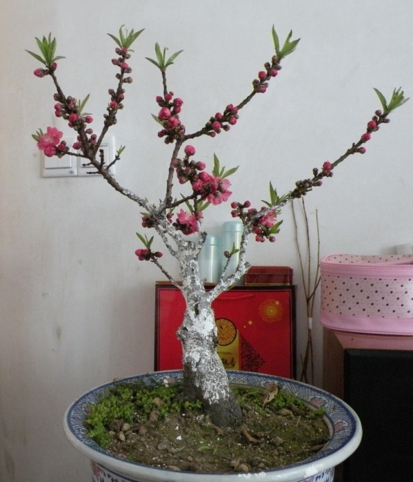 QQͼƬ20140209202835.jpg