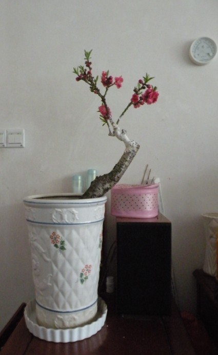 QQͼƬ20140209202918.jpg