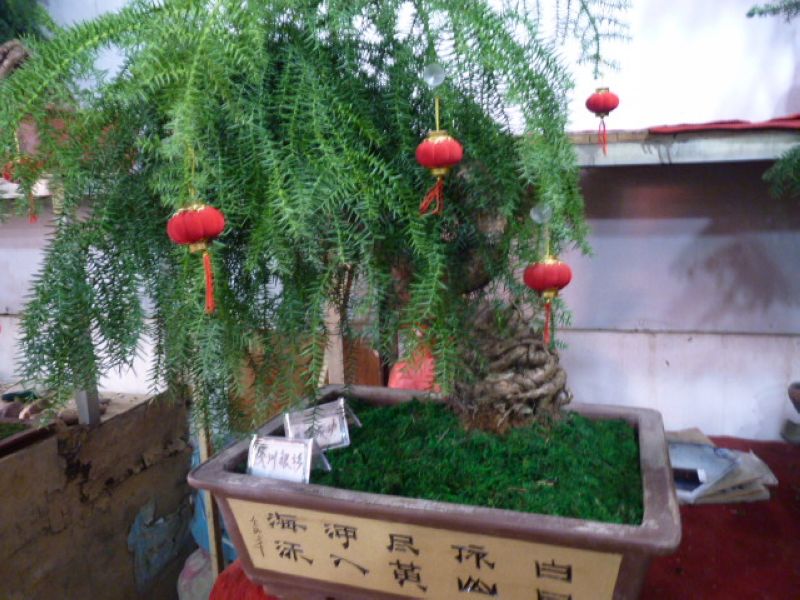 P1040571.JPG