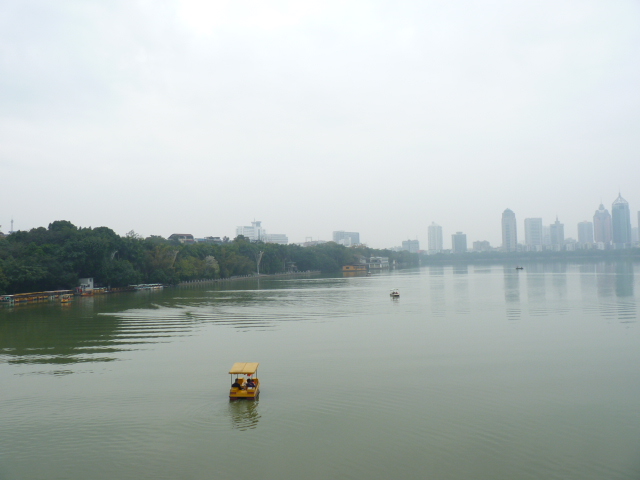 P1040581.JPG