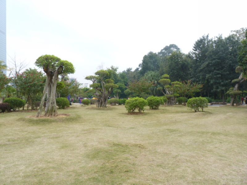 P1040584.JPG