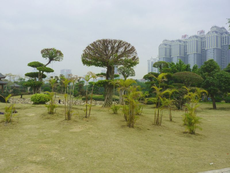 P1040585.JPG