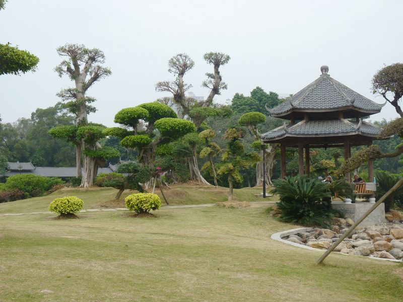 P1040591.JPG