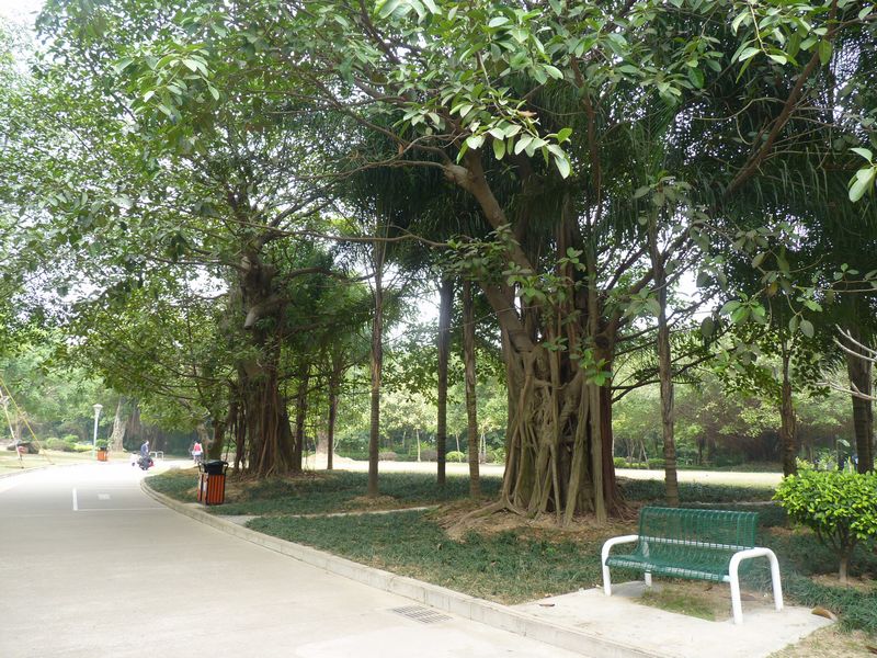 P1040615.JPG