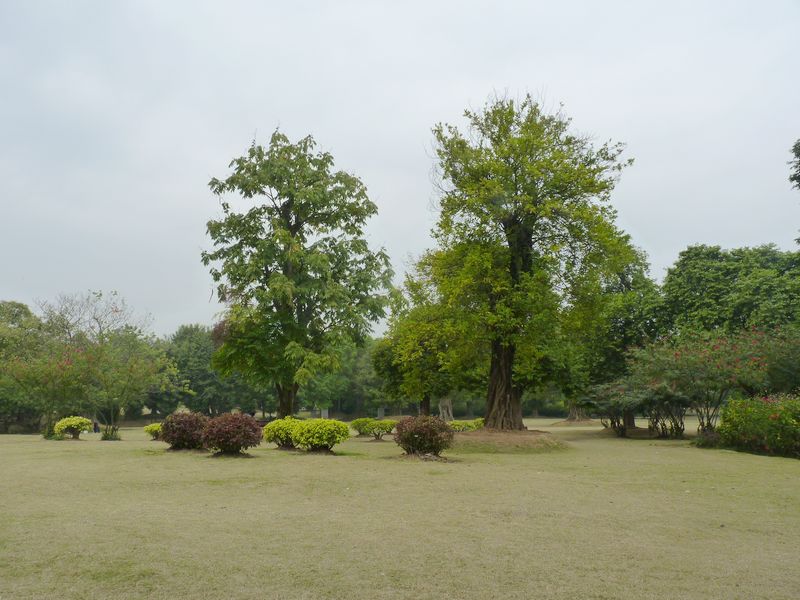 P1040617.JPG
