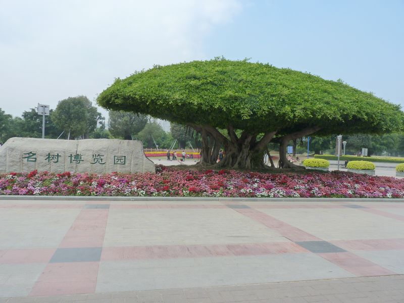 P1040646.JPG
