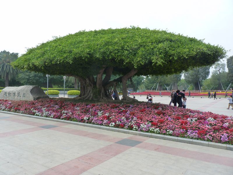 P1040650.JPG