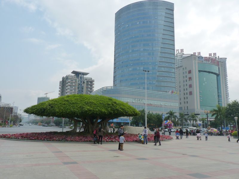 P1040663.JPG