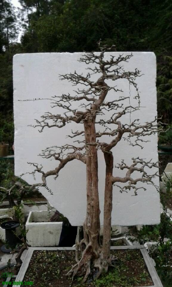 QQͼƬ20140210190012.jpg