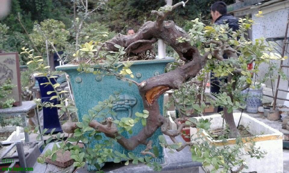 QQͼƬ20140210190039.jpg