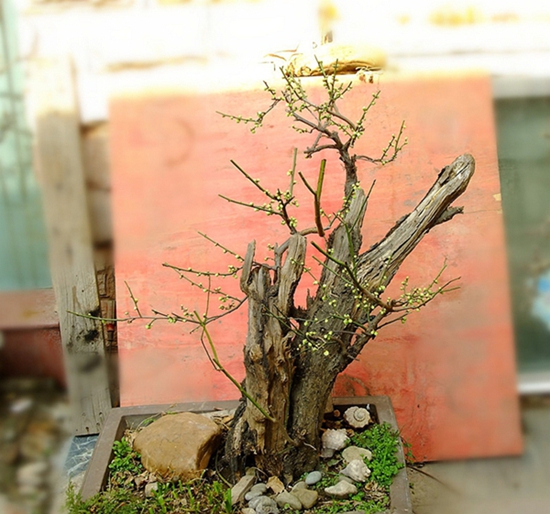 DSCF6600_.jpg