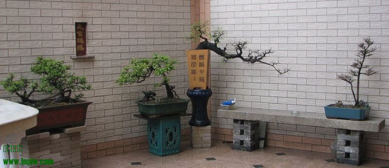 20120301_7fea9e9f686a5f03c73dhovfTnQdM5iU.jpg