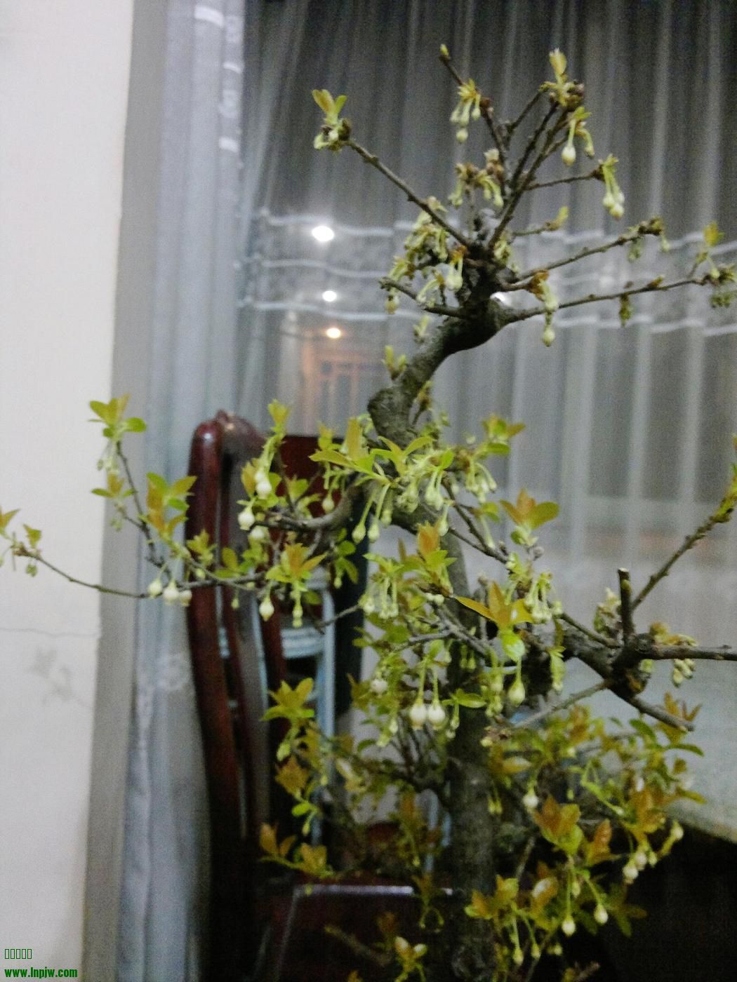 201402111864.jpg